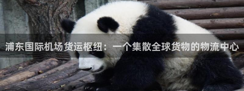 k豆钱包苹果版