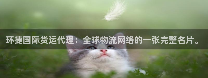 k 豆钱包下载