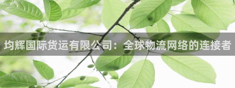 k豆钱包靠谱吗
