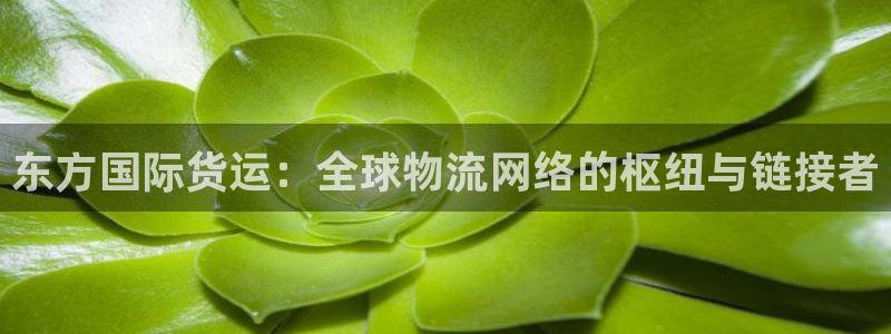 k豆钱包安装
