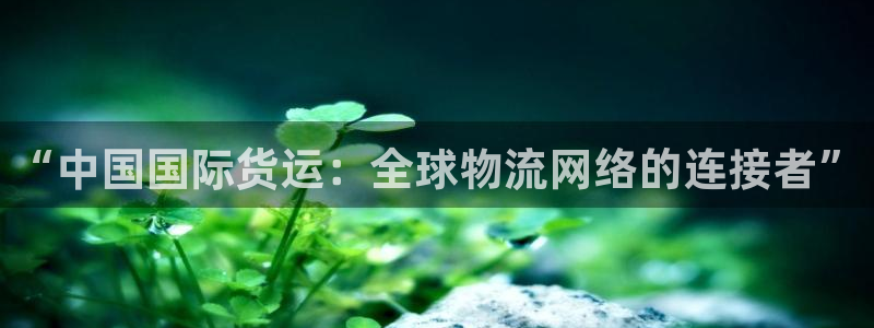 k豆钱包最新版本下载2024