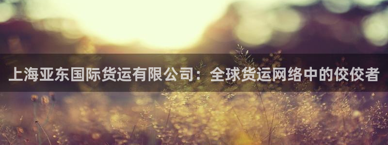 k 豆钱包已经